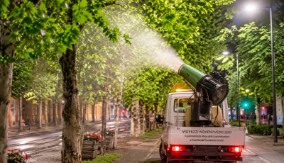 Lombpermetez&eacute;s lesz Kaposv&aacute;r k&ouml;zter&uuml;letein