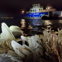 Pazar jégszobrokat alkotott a természet a Balaton déli partján - GALÉRIA