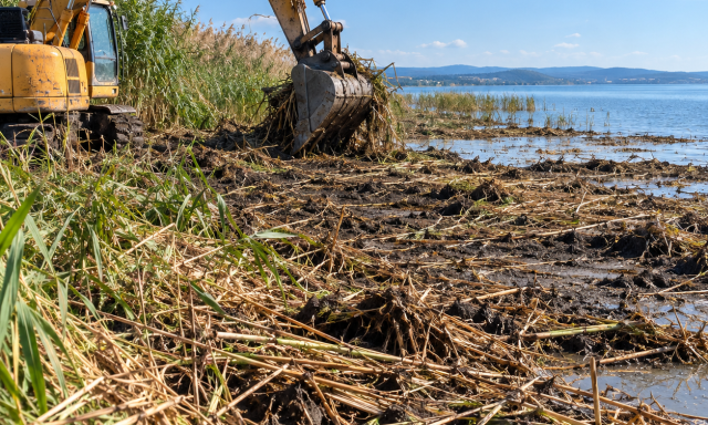 Markol&oacute;val taroltak le ezer n&eacute;gyzetm&eacute;ternyi v&eacute;dett n&aacute;dast a Balatonn&aacute;l &ndash; Egy s&eacute;r&uuml;lt teknőst is kimentettek