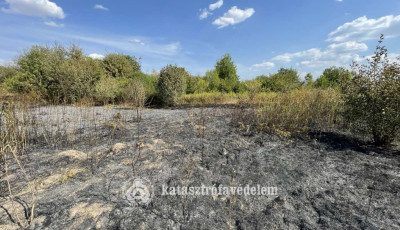 L&aacute;ngolt az aljn&ouml;v&eacute;nyzet Somogys&aacute;rdon, t&ouml;bb h&aacute;z is vesz&eacute;lybe ker&uuml;lt