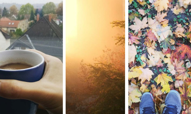 Ledar&aacute;lt&aacute;k az Instagramot az őszi k&eacute;peitek
