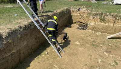 K&eacute;t m&eacute;ter m&eacute;ly g&ouml;d&ouml;rből mentettek ki egy kutyust a tűzolt&oacute;k B&ouml;h&ouml;ny&eacute;n