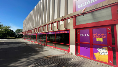 Ism&eacute;t &uuml;res a Domus - Leh&uacute;zta a rol&oacute;t a Zalla B&uacute;tor