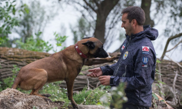 Elpusztult Symba, a hős magyar mentőkutya - Nev&eacute;t a vil&aacute;g legjobbjai k&ouml;z&ouml;tt jegyezt&eacute;k