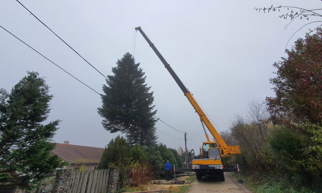 Az elm&uacute;lt &eacute;vek legszebb kar&aacute;csonyf&aacute;ja meg&eacute;rkezett a Kossuth t&eacute;rre! - VIDE&Oacute;