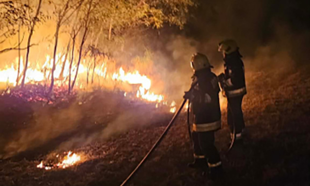 &Eacute;gett az aljn&ouml;v&eacute;nyzet &eacute;jjel Kadark&uacute;ton, m&eacute;g időben siker&uuml;lt megf&eacute;kezni