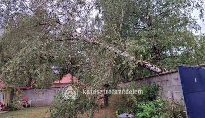 85 helysz&iacute;nre riasztott&aacute;k h&eacute;tv&eacute;g&eacute;n a somogyi tűzolt&oacute;kat