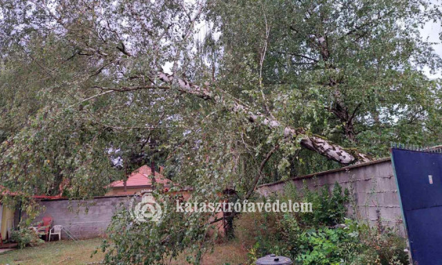 85 helysz&iacute;nre riasztott&aacute;k h&eacute;tv&eacute;g&eacute;n a somogyi tűzolt&oacute;kat