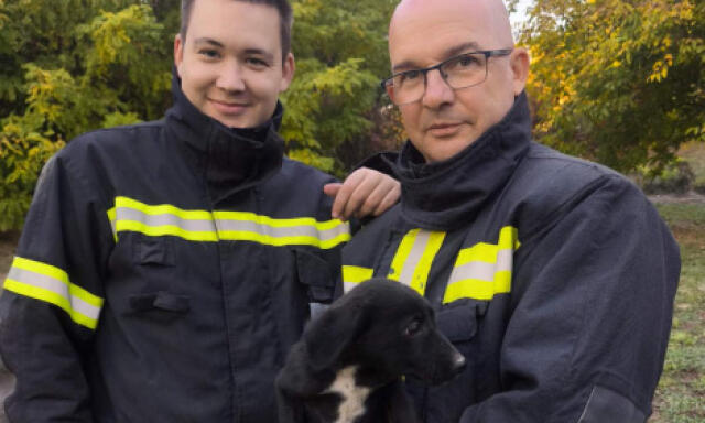 K&uacute;tba esett kiskuty&aacute;t mentettek ki a kaposv&aacute;ri tűzolt&oacute;k Kazsokon