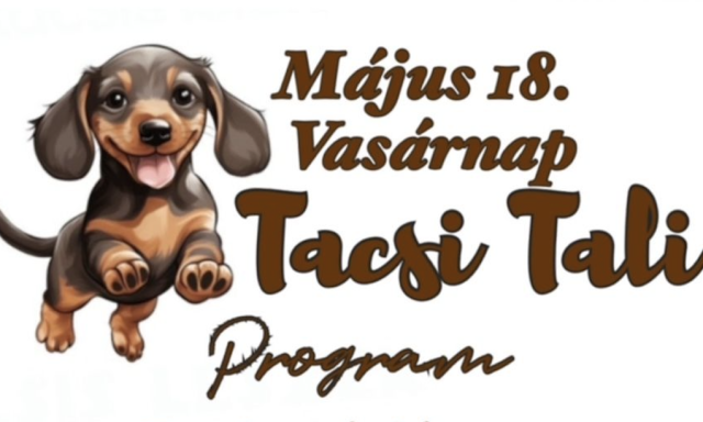 Tacsk&oacute; tal&aacute;lkoz&oacute;t rendeznek Szigetv&aacute;ron
