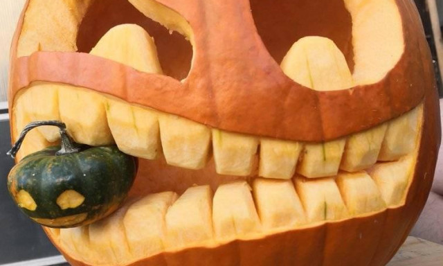 Par&eacute;j Krist&oacute;f - Kinek van a legszebb t&ouml;ke Kaposv&aacute;ron?