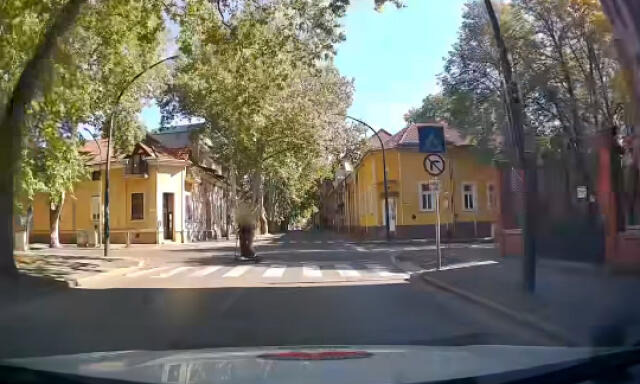 A rendőr&ouml;k előtt, meg&aacute;ll&aacute;s n&eacute;lk&uuml;l gurult ki a STOP t&aacute;bl&aacute;s kereszteződ&eacute;sből a kaposv&aacute;ri rolleres - VIDE&Oacute;