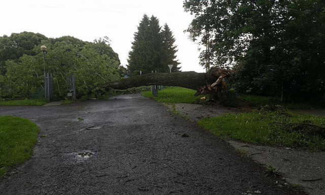 Meglepő l&aacute;tv&aacute;ny fogadta a kaposv&aacute;ri egyetemist&aacute;kat - gy&ouml;kerest&uuml;l tekert ki egy ny&aacute;rf&aacute;t a h&eacute;tv&eacute;gi vihar