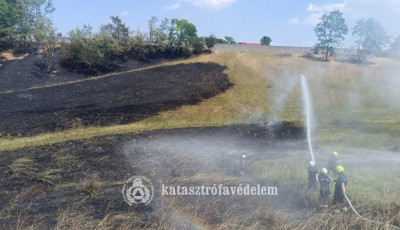 T&ouml;bb hekt&aacute;ron &eacute;gett a sz&aacute;raz aljn&ouml;v&eacute;nyzet Zam&aacute;rdin&aacute;l