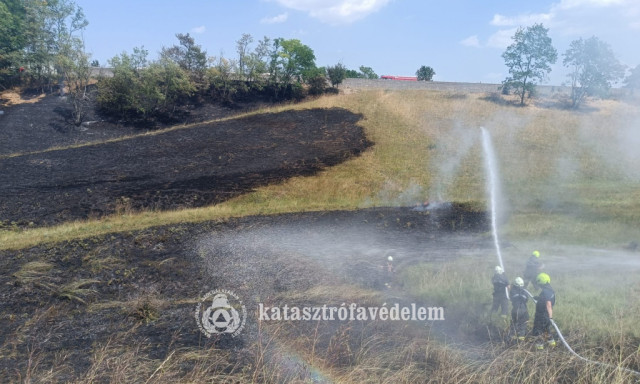 T&ouml;bb hekt&aacute;ron &eacute;gett a sz&aacute;raz aljn&ouml;v&eacute;nyzet Zam&aacute;rdin&aacute;l