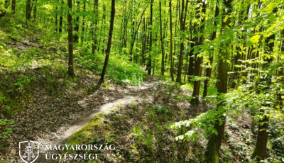 Kutyat&aacute;mad&aacute;s T&ouml;r&ouml;csk&eacute;n -  Kiskuty&aacute;j&aacute;t v&eacute;dte, elt&ouml;r&ouml;tt a bok&aacute;ja