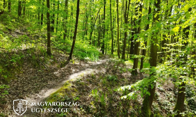 Kutyat&aacute;mad&aacute;s T&ouml;r&ouml;csk&eacute;n -  Kiskuty&aacute;j&aacute;t v&eacute;dte, elt&ouml;r&ouml;tt a bok&aacute;ja