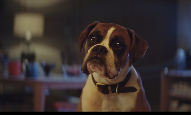 Keress&uuml;k a legjobb kar&aacute;csonyi rekl&aacute;mot! Neked melyik a kedvenced?