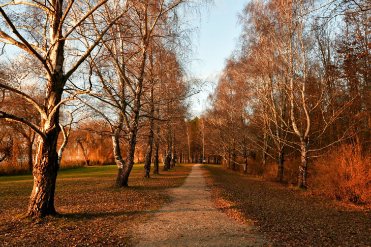 Amberg Anna, Kis-Balaton, Kányavári sziget