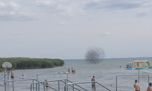B&aacute;mulatos l&aacute;tv&aacute;ny Balatonfűzfőn - Sereg&eacute;lyek sz&aacute;zai t&aacute;ncoltak a Balaton felett - VIDE&Oacute;