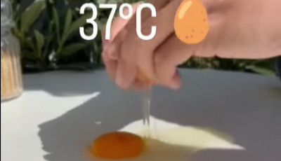 Kaposv&aacute;ron is kipr&oacute;b&aacute;lt&aacute;k: meg lehet s&uuml;tni egy toj&aacute;st a napon? Megsz&uuml;letett az &iacute;t&eacute;let