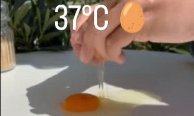 Kaposv&aacute;ron is kipr&oacute;b&aacute;lt&aacute;k: meg lehet s&uuml;tni egy toj&aacute;st a napon? Megsz&uuml;letett az &iacute;t&eacute;let