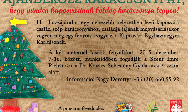 Fenyőf&aacute;t minden kaposv&aacute;rinak!