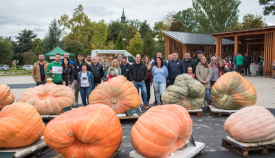 519 kilogrammot nyom az orsz&aacute;g legnagyobb t&ouml;ke