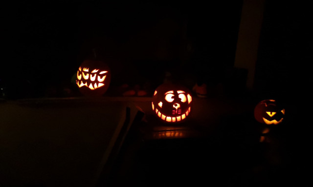 Kov&aacute;cs Kitti - Kinek van a legszebb t&ouml;ke Kaposv&aacute;ron?