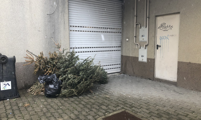 M&eacute;g mindig leharcolt kar&aacute;csonyf&aacute;k &eacute;kes&iacute;tik Kaposv&aacute;r utc&aacute;it