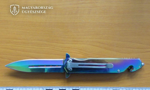 Aki felsz&aacute;ll a vonatra, azt kilyuggatom! - Az eg&eacute;sz &aacute;llom&aacute;st beterroriz&aacute;lta egy k&eacute;ses tah&oacute; Si&oacute;fokon