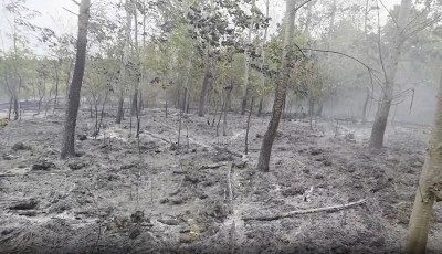 &Ouml;t telep&uuml;l&eacute;s tűzolt&oacute;i dolgoztak a pusztakov&aacute;csi tűz megf&eacute;kez&eacute;s&eacute;n - VIDE&Oacute;