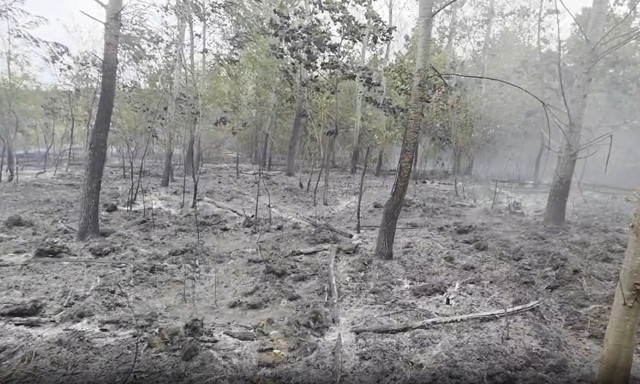 &Ouml;t telep&uuml;l&eacute;s tűzolt&oacute;i dolgoztak a pusztakov&aacute;csi tűz megf&eacute;kez&eacute;s&eacute;n - VIDE&Oacute;