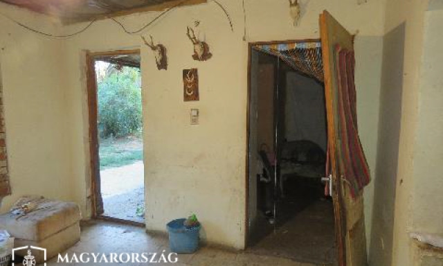 Saj&aacute;t apja nyak&aacute;t v&aacute;gta el a somogyi f&eacute;rfi
