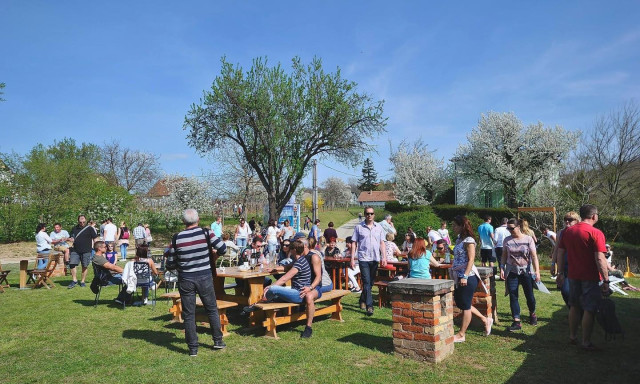 Csod&aacute;s időh&ouml;z szuper program szombatra! &Iacute;me a Kishegyi Kortyok &eacute;s Falatok r&eacute;szletei