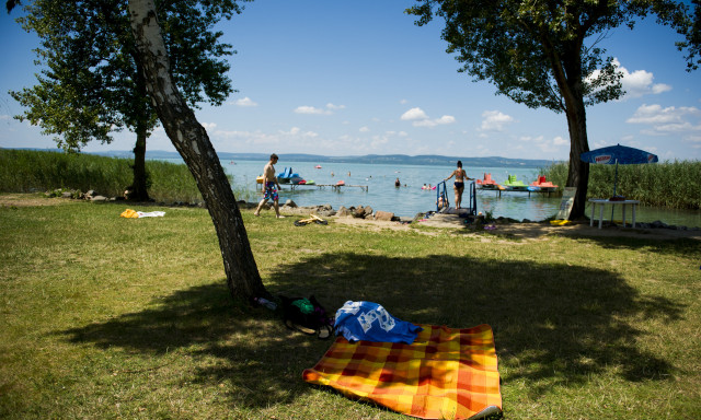 Nem v&eacute;dett a t&uuml;rcsi, t&aacute;rc&aacute;t loptak a si&oacute;foki strandon