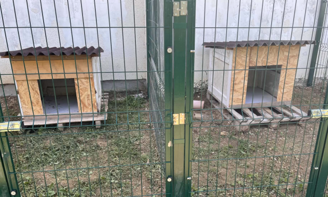 Biztons&aacute;gos kenneleket alak&iacute;tottak ki az elk&oacute;borolt &aacute;llatok sz&aacute;m&aacute;ra Igalban