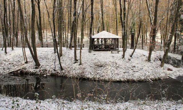 Erdől&aacute;togat&aacute;si korl&aacute;toz&aacute;s l&eacute;p &eacute;letbe a somogyi erdők egyes ter&uuml;letein