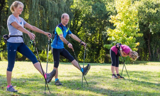 De mi is az a nordic walking?