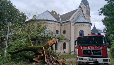 25 m&eacute;teres fa dőlt a Hős&ouml;k templom&aacute;ra a h&eacute;tv&eacute;g&eacute;n