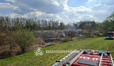 V&aacute;g&aacute;st&eacute;ri hullad&eacute;kot &eacute;gettek Mezőcsokony&aacute;n