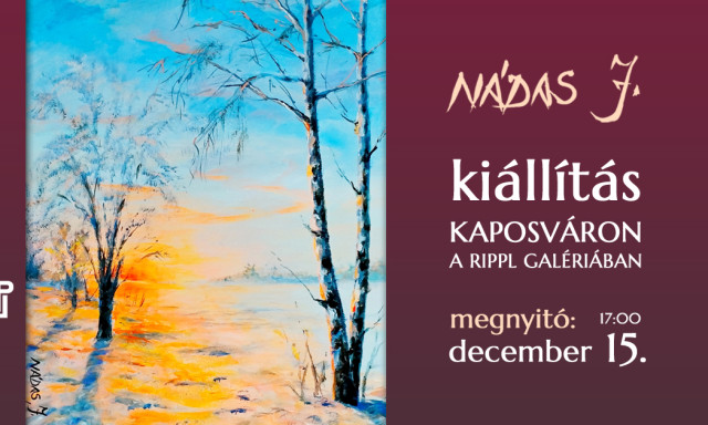N&aacute;das ki&aacute;ll&iacute;t&aacute;s ny&iacute;lik decemberben a Rippl Gal&eacute;ri&aacute;ban