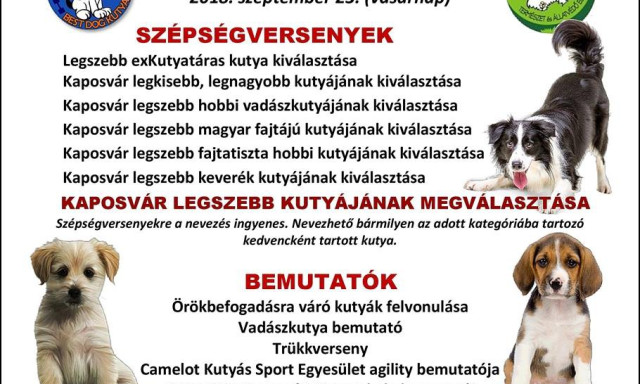H&eacute;tv&eacute;g&eacute;n ism&eacute;t Szuper-EB Fesztiv&aacute;l lesz Kaposv&aacute;ron!