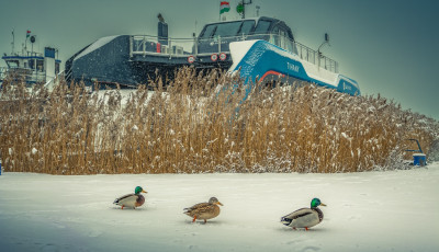 Szombatt&oacute;l j&ouml;n az &uuml;nnepi kompmenetrend
