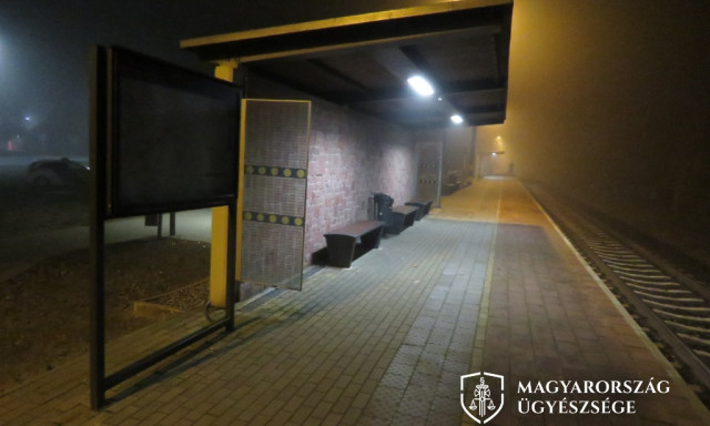 A kaposv&aacute;ri buszp&aacute;lyaudvaron kezdőd&ouml;tt a tini-terror, majd a vonaton folytat&oacute;dott
