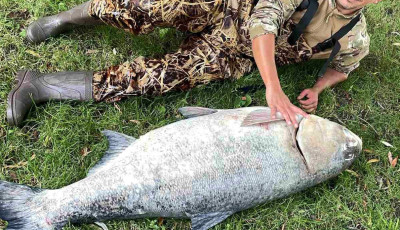 Elk&eacute;pesztő! 25 kil&oacute;val siker&uuml;lt megd&ouml;nteni a balatoni busa rekordot