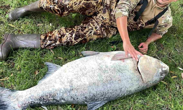 Elk&eacute;pesztő! 25 kil&oacute;val siker&uuml;lt megd&ouml;nteni a balatoni busa rekordot