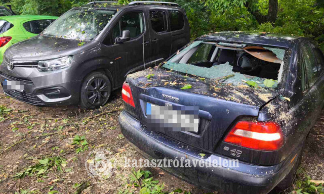 Aut&oacute;kra szakadt egy let&ouml;rt fa&aacute;g a P&eacute;csi utc&aacute;ban