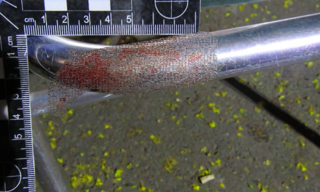 Ember&ouml;l&eacute;si k&iacute;s&eacute;rlet Marcaliban! - K&eacute;sel&eacute;sig fajult a vita a kocsm&aacute;n&aacute;l