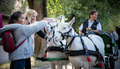 K&Aacute;N bel&eacute;pőt kapnak id&eacute;n a kaposv&aacute;ri elsős&ouml;k